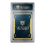 Vcard Promo Slab - Gamer Supps