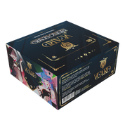 VCard Booster Box Master Case - Rising Stars (12 Booster Boxes) - Gamer Supps